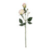GloboStar® GloboStar® Artificial Garden CHAMPAGNE DAMASK CLIMBING ROSE BRANCH 21198 Τεχνητό Διακοσμητικό Κλαδί Τριαντάφυλλο Σαμπανιζέ Y55cm