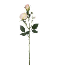 GloboStar® GloboStar® Artificial Garden CHAMPAGNE DAMASK CLIMBING ROSE BRANCH 21198 Τεχνητό Διακοσμητικό Κλαδί Τριαντάφυλλο Σαμπανιζέ Y55cm