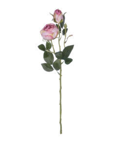 GloboStar® GloboStar® Artificial Garden PINK DAMASK CLIMBING ROSE BRANCH 21199 Τεχνητό Διακοσμητικό Κλαδί Τριαντάφυλλο Σαμπανιζέ Y55cm