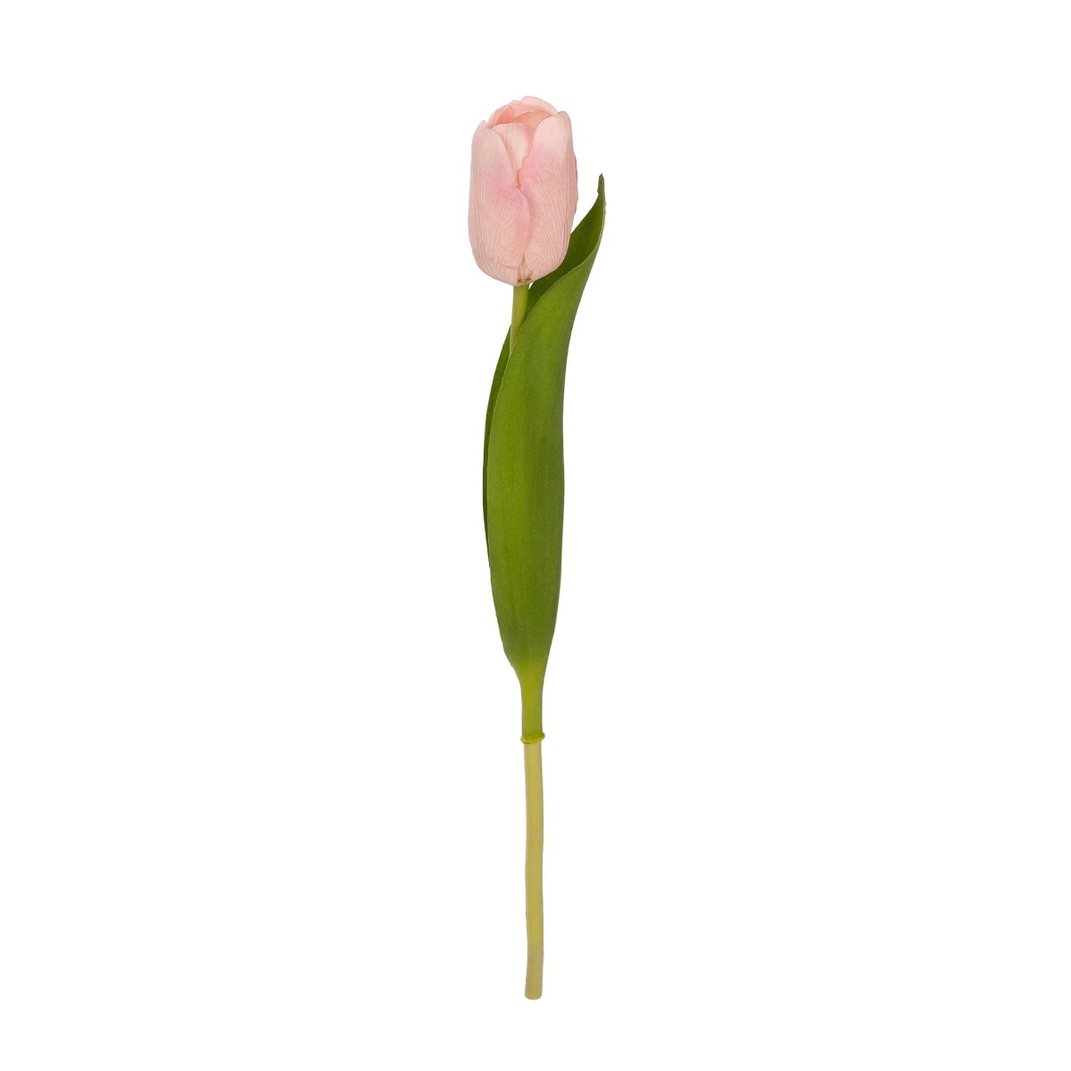 GloboStar® Artificial Garden PINK TULIP BRANCH 21200 Τεχνητό Διακοσμητικό Κλαδί Ροζ Τουλίπα Y37cm 2 GloboStar® GloboStar® Artificial Garden PINK TULIP BRANCH 21200 Τεχνητό Διακοσμητικό Κλαδί Ροζ Τουλίπα Y37cm