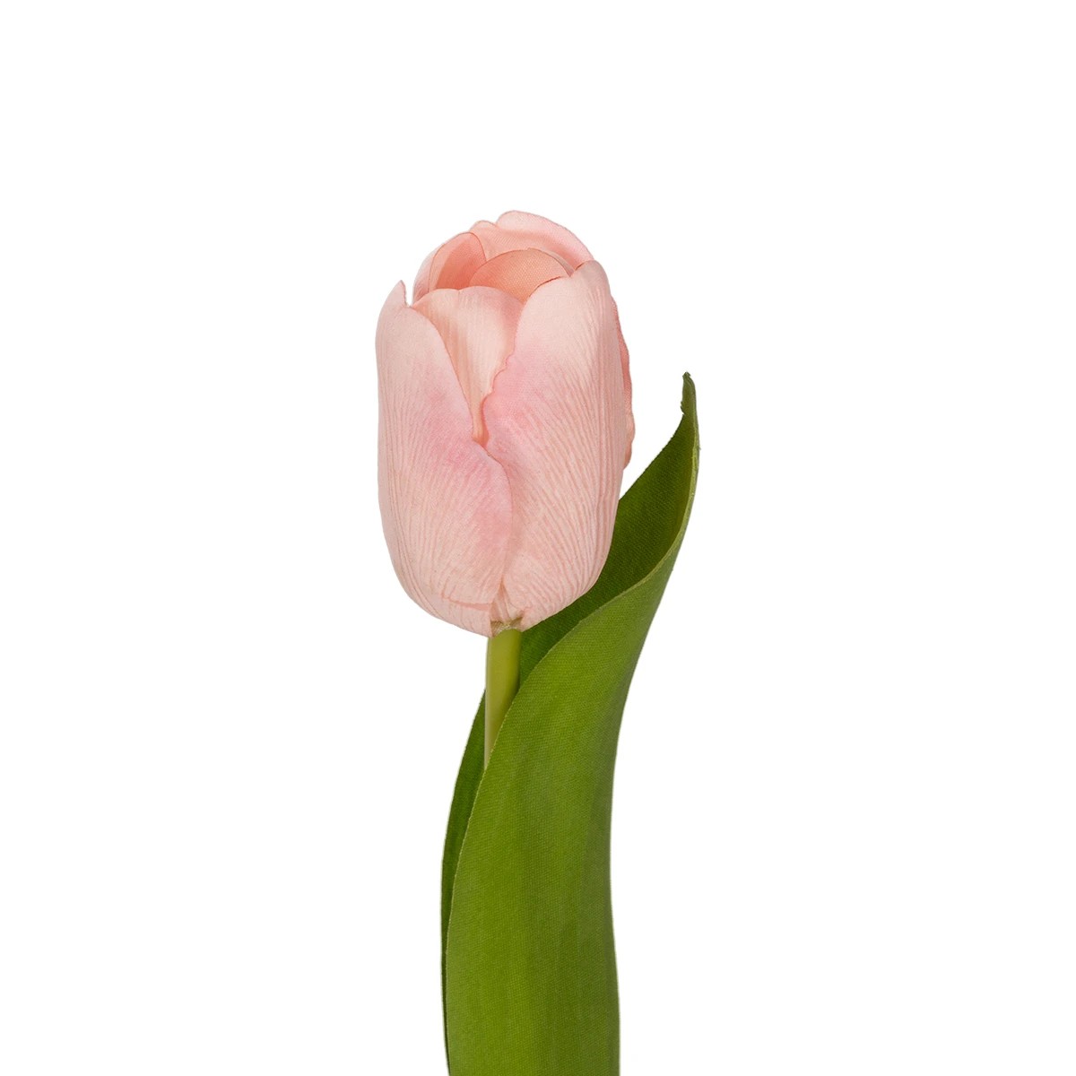GloboStar® Artificial Garden PINK TULIP BRANCH 21200 Τεχνητό Διακοσμητικό Κλαδί Ροζ Τουλίπα Y37cm 3 GloboStar® Artificial Garden PINK TULIP BRANCH 21200 Τεχνητό Διακοσμητικό Κλαδί Ροζ Τουλίπα Y37cm - Image 2
