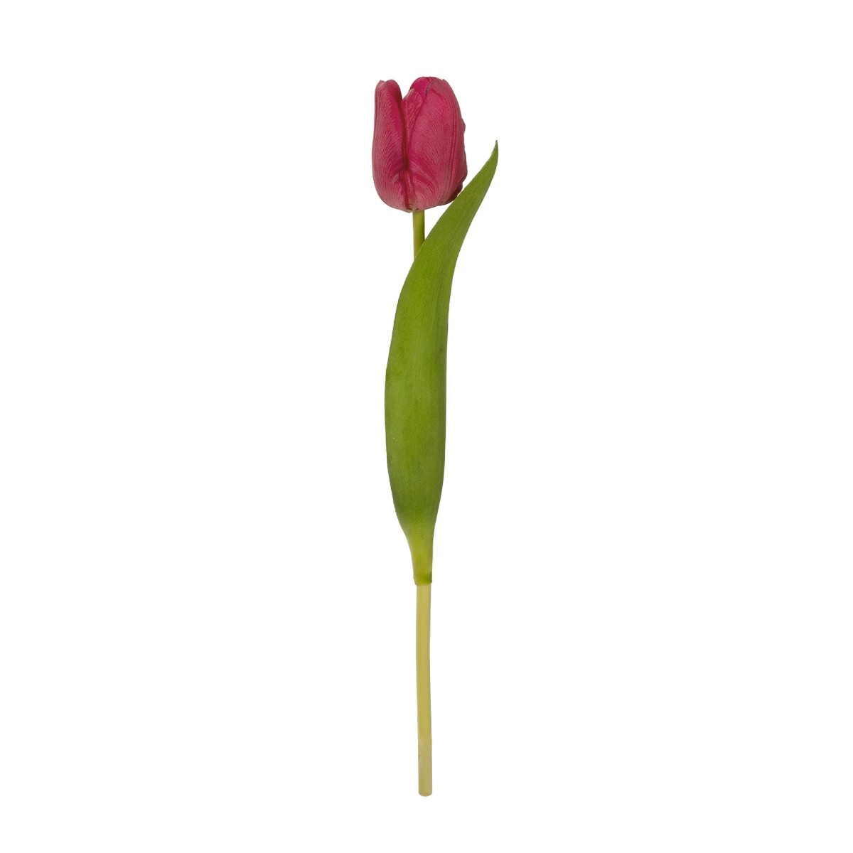 GloboStar® Artificial Garden HOT PINK TULIP BRANCH 21201 Τεχνητό Διακοσμητικό Κλαδί Έντονο Ροζ Τουλίπα Y37cm 2 GloboStar® GloboStar® Artificial Garden HOT PINK TULIP BRANCH 21201 Τεχνητό Διακοσμητικό Κλαδί Έντονο Ροζ Τουλίπα Y37cm