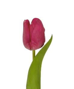Alternative view of GloboStar® Artificial Garden HOT PINK TULIP BRANCH 21201 Τεχνητό Διακοσμητικό Κλαδί Έντονο Ροζ Τουλίπα Y37cm