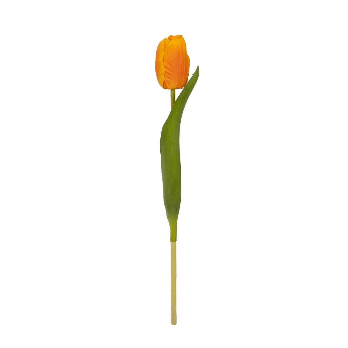 GloboStar® Artificial Garden ORANGE TULIP BRANCH 21202 Τεχνητό Διακοσμητικό Κλαδί Πορτοκαλί Τουλίπα Y37cm 2 GloboStar® GloboStar® Artificial Garden ORANGE TULIP BRANCH 21202 Τεχνητό Διακοσμητικό Κλαδί Πορτοκαλί Τουλίπα Y37cm