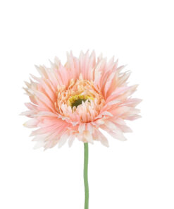 Alternative view of GloboStar® Artificial Garden PINK GERBERA  BRANCH 21205 Τεχνητό Διακοσμητικό Κλαδί Ζέρμπερας Ροζ Y44cm