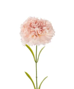 Alternative view of GloboStar® Artificial Garden PALE PING CARNATION BRANCH 21208 Τεχνητό Διακοσμητικό Κλαδί Γαρίφαλο Απαλό Ρόζ Y60cm