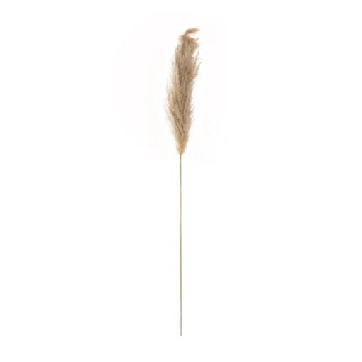 GloboStar® GloboStar® Artificial Garden PAMPAS GRASS 21217 Αποξηραμένο Διακοσμητικό Γρασίδι Πάμπας Μ10 x Π10 x Υ150cm