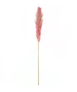 GloboStar® GloboStar® Artificial Garden PAMPAS GRASS 21218 Αποξηραμένο Διακοσμητικό Γρασίδι Πάμπας Μ10 x Π10 x Υ150cm