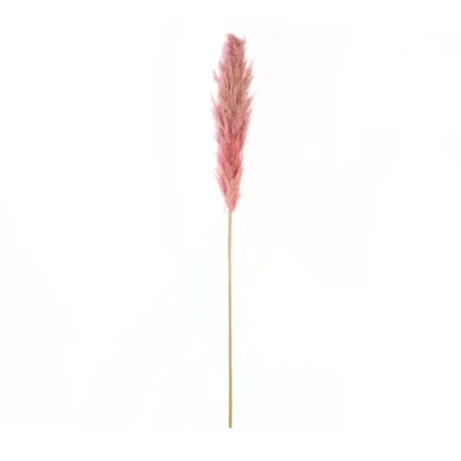 GloboStar® GloboStar® Artificial Garden PAMPAS GRASS 21218 Αποξηραμένο Διακοσμητικό Γρασίδι Πάμπας Μ10 x Π10 x Υ150cm