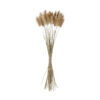GloboStar® Artificial Garden REAL DRIED BEIGE WHEAT BUNCH 21219 Αποξηραμένο Διακοσμητικό Μπουκέτο Σιταριού Y50cm - Σετ 30 τμχ 1 GloboStar® GloboStar® Artificial Garden REAL DRIED BEIGE WHEAT BUNCH 21219 Αποξηραμένο Διακοσμητικό Μπουκέτο Σιταριού Y50cm - Σετ 30 τμχ