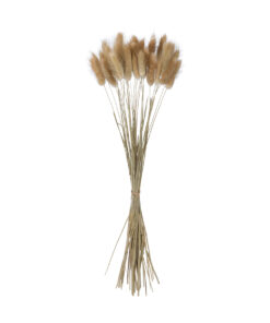 GloboStar® GloboStar® Artificial Garden REAL DRIED BEIGE WHEAT BUNCH 21219 Αποξηραμένο Διακοσμητικό Μπουκέτο Σιταριού Y50cm - Σετ 30 τμχ