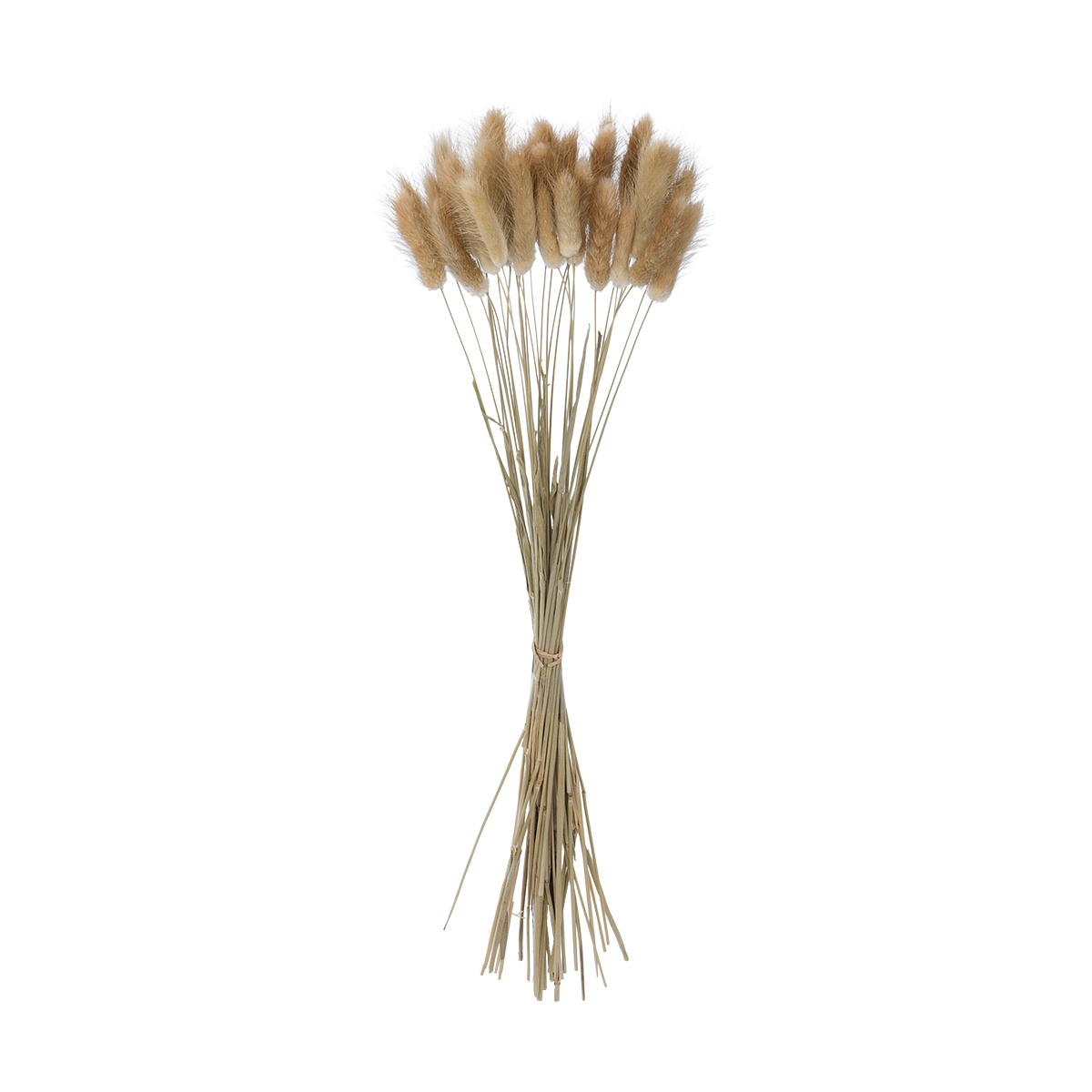 GloboStar® Artificial Garden REAL DRIED BEIGE WHEAT BUNCH 21219 Αποξηραμένο Διακοσμητικό Μπουκέτο Σιταριού Y50cm - Σετ 30 τμχ 3 GloboStar® GloboStar® Artificial Garden REAL DRIED BEIGE WHEAT BUNCH 21219 Αποξηραμένο Διακοσμητικό Μπουκέτο Σιταριού Y50cm - Σετ 30 τμχ