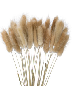 Alternative view of GloboStar® Artificial Garden REAL DRIED BEIGE WHEAT BUNCH  21219 Αποξηραμένο Διακοσμητικό Μπουκέτο Σιταριού Y50cm - Σετ 30 τμχ