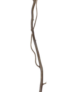 Alternative view of GloboStar® Artificial Garden REAL DRIED WITHERED VINE STEM 21220 Τεχνητό Διακοσμητικό Κλαδί Αμπελιού Y120cm