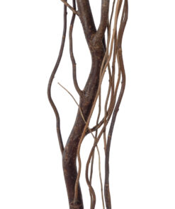 Alternative view of GloboStar® Artificial Garden REAL DRIED WITHERED VINE STEM 21221 Τεχνητό Διακοσμητικό Κλαδί Αμπελιού Y180cm
