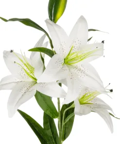 Alternative view of GloboStar® Artificial Garden WHITE LILY BRANCH 21312 Τεχνητό Διακοσμητικό Κλαδί Λευκό Κρίνο Y95cm