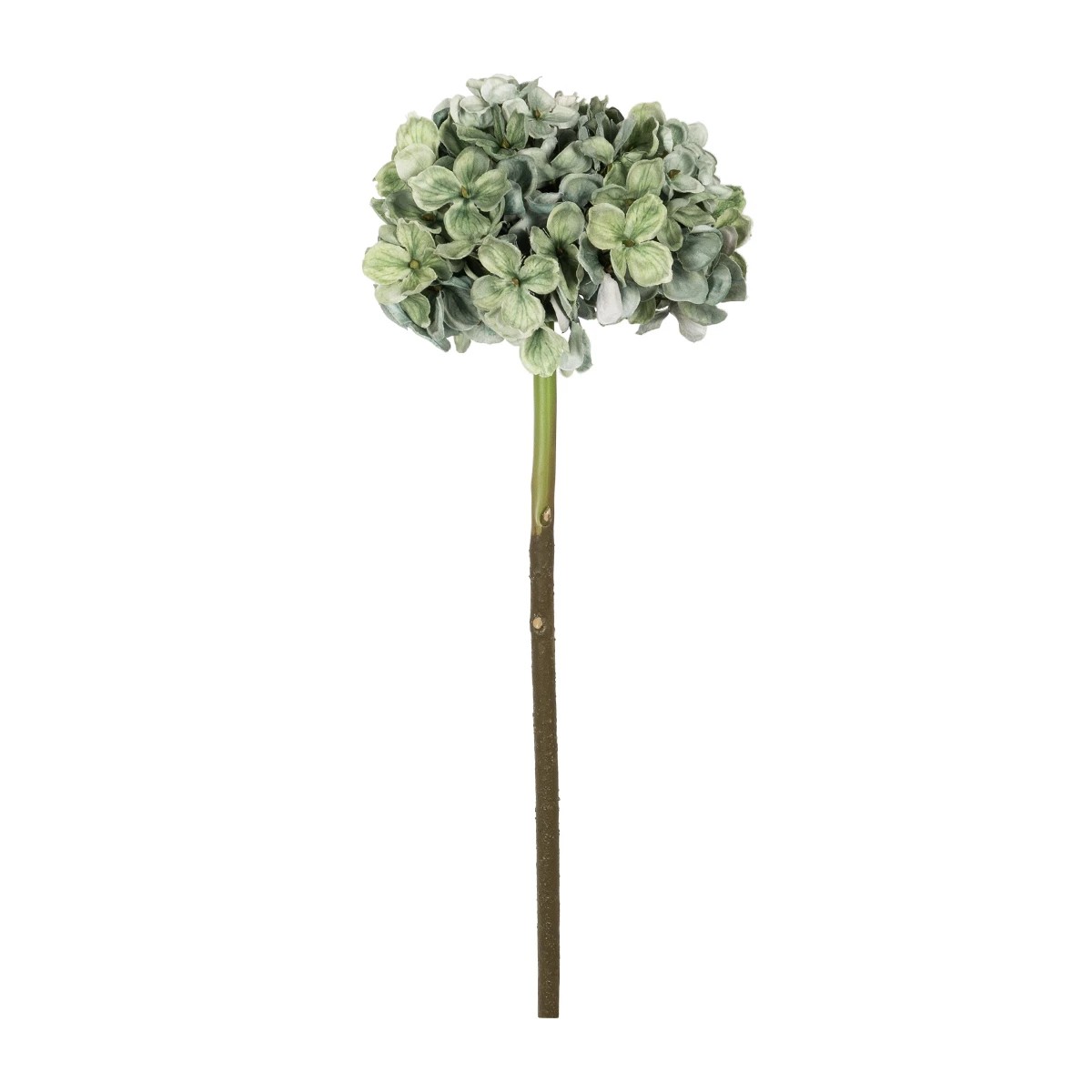 GloboStar® Artificial Garden GREEN HYDRANGEA BRANCH 21316 Τεχνητό Διακοσμητικό Κλαδί Πράσινη Ορτανσία Y47cm 2 GloboStar® GloboStar® Artificial Garden GREEN HYDRANGEA BRANCH 21316 Τεχνητό Διακοσμητικό Κλαδί Πράσινη Ορτανσία Y47cm