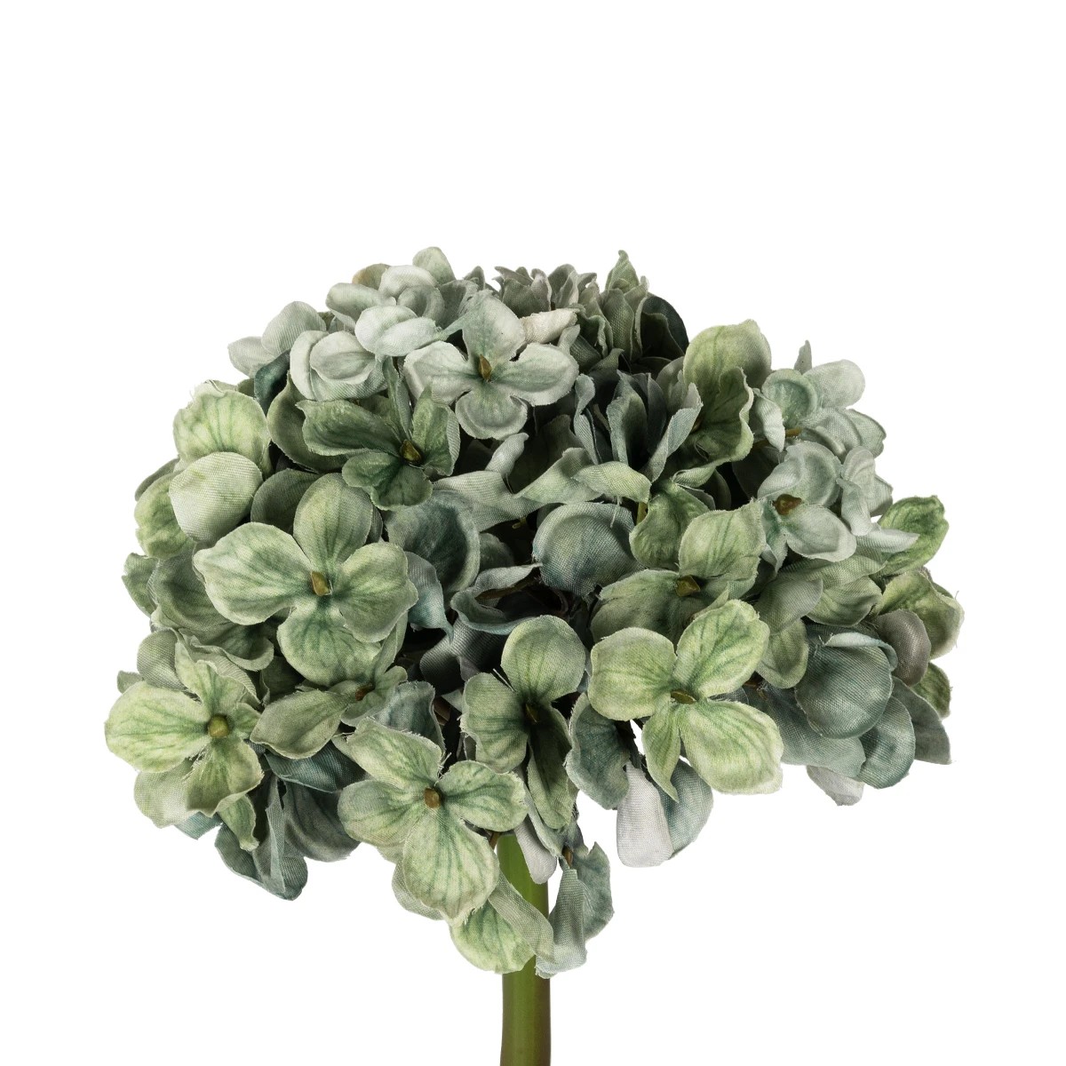 GloboStar® Artificial Garden GREEN HYDRANGEA BRANCH 21316 Τεχνητό Διακοσμητικό Κλαδί Πράσινη Ορτανσία Y47cm 3 GloboStar® Artificial Garden GREEN HYDRANGEA BRANCH 21316 Τεχνητό Διακοσμητικό Κλαδί Πράσινη Ορτανσία Y47cm - Image 2