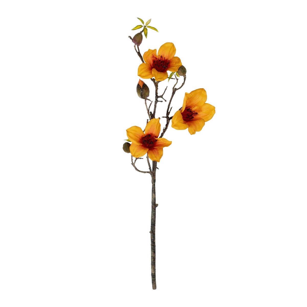 GloboStar® Artificial Garden ORANGE KAPOK BRANCH 21331 Τεχνητό Διακοσμητικό Κλαδί Πορτοκαλί Καποκ Y92cm 1 GloboStar® GloboStar® Artificial Garden ORANGE KAPOK BRANCH 21331 Τεχνητό Διακοσμητικό Κλαδί Πορτοκαλί Καποκ Y92cm