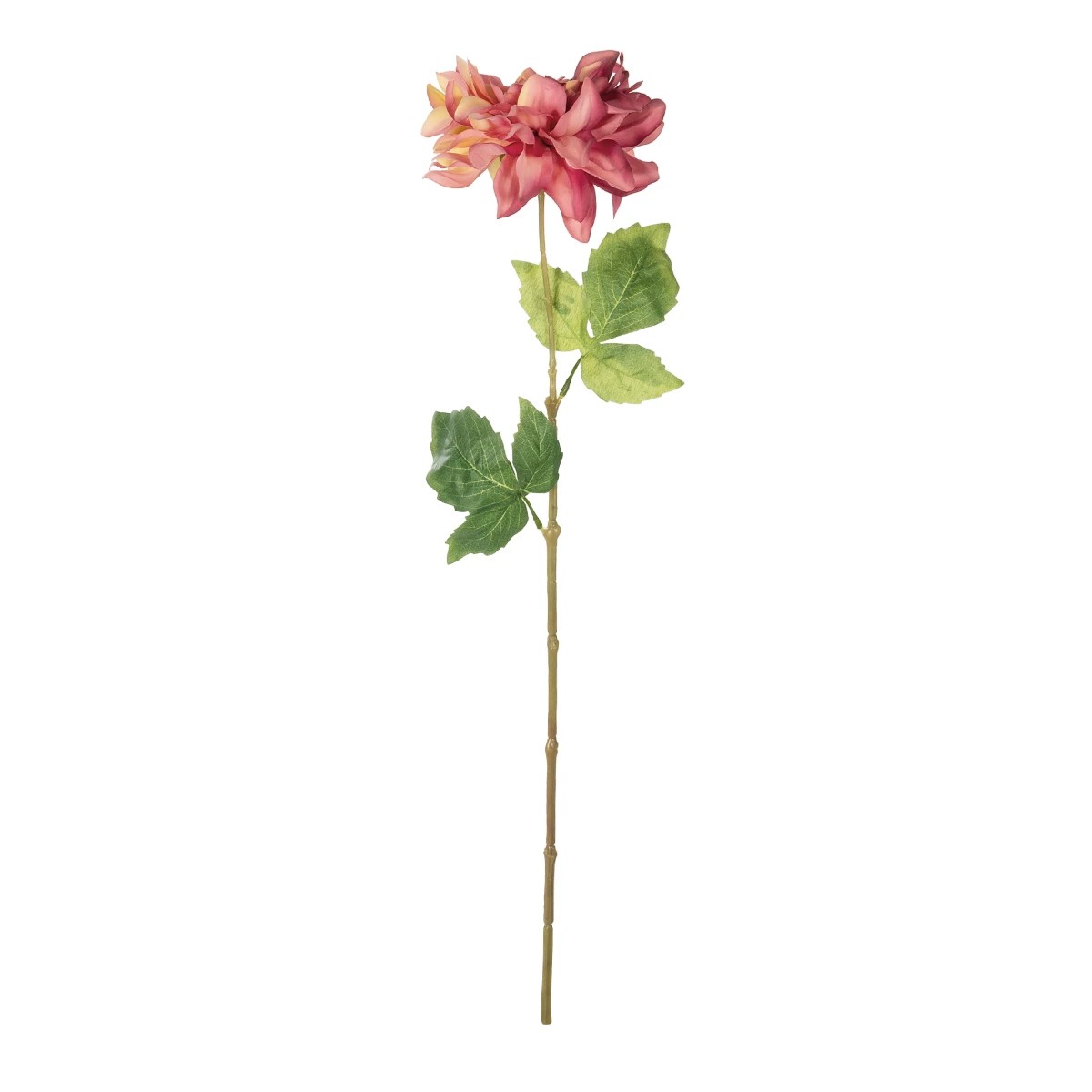 GloboStar® Artificial Garden PINK DHALIA BRANCH 21334 Τεχνητό Διακοσμητικό Ροζ Κλαδί Ντάλια Y60cm 2 GloboStar® GloboStar® Artificial Garden PINK DHALIA BRANCH 21334 Τεχνητό Διακοσμητικό Ροζ Κλαδί Ντάλια Y60cm