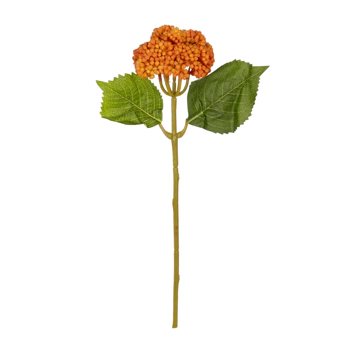 GloboStar® Artificial Garden ORANGE SEDUM BRANCH 21338 Τεχνητό Διακοσμητικό Κλαδί Πορτοκαλί Σέδο Y38cm 2 GloboStar® GloboStar® Artificial Garden ORANGE SEDUM BRANCH 21338 Τεχνητό Διακοσμητικό Κλαδί Πορτοκαλί Σέδο Y38cm