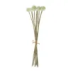 GloboStar® GloboStar® Artificial Garden WHITE DANDELION BOUQET 21358 Τεχνητό Διακοσμητικό Ταραξάκο Μπουκέτο Y54cm