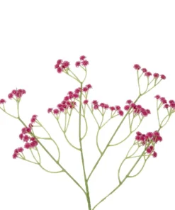 GloboStar® Artificial Garden PINK BRANCH BABY BREATH 21368 Τεχνητό Διακοσμητικό Κλαδί Ροζ Γυψοφίλης Y61cm 6 21368 3