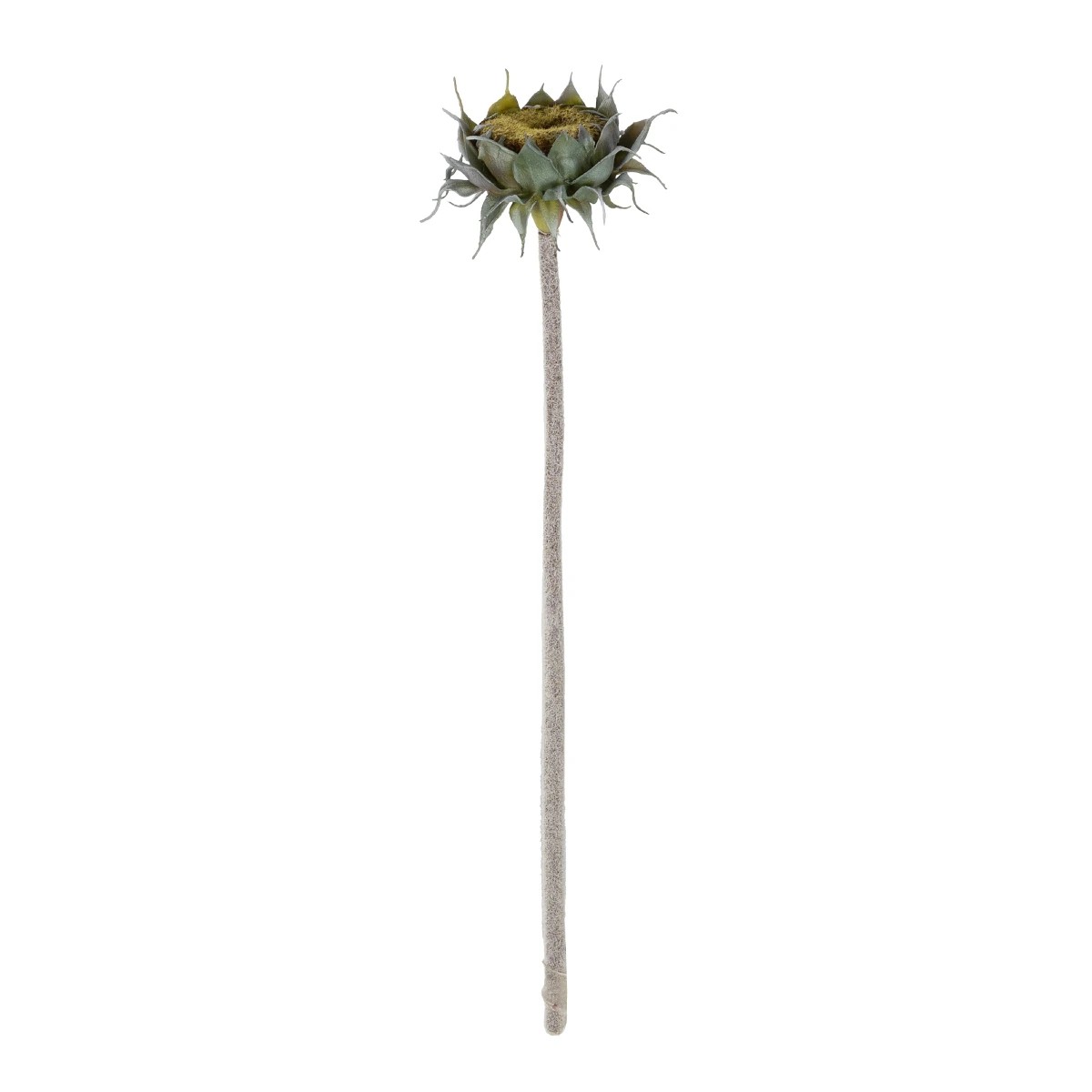 GloboStar® Artificial Garden GREEN SUNFLOWER BRANCH 21378 Τεχνητό Διακοσμητικό Κλαδί Ηλιοτρόπιο Πράσινο Y60cm 2 GloboStar® GloboStar® Artificial Garden GREEN SUNFLOWER BRANCH 21378 Τεχνητό Διακοσμητικό Κλαδί Ηλιοτρόπιο Πράσινο Y60cm