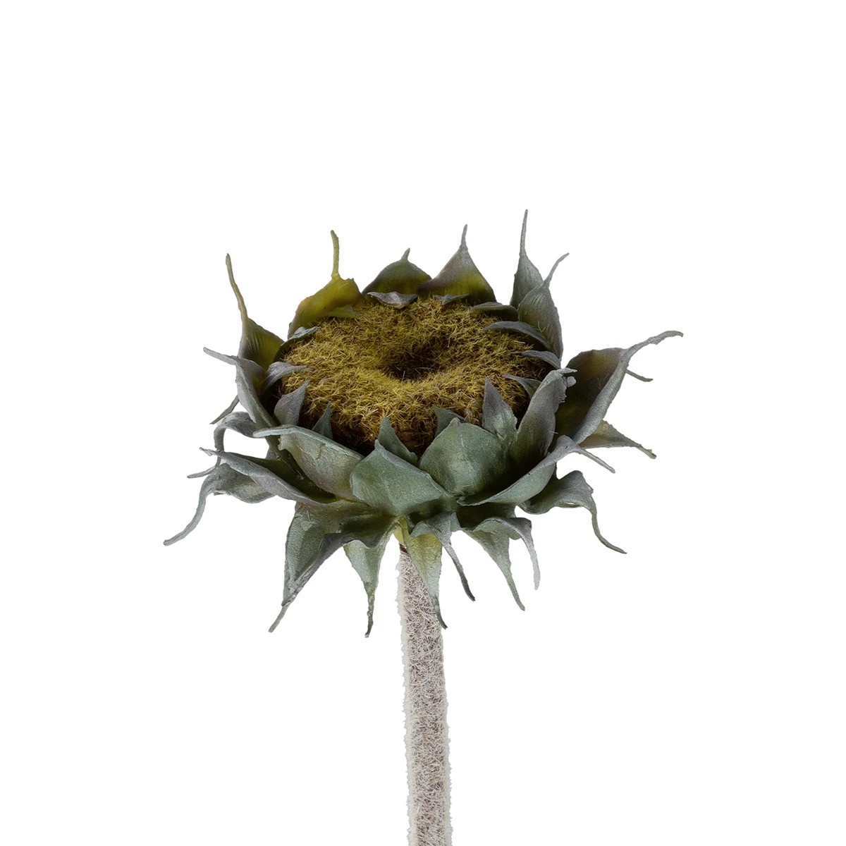 GloboStar® Artificial Garden GREEN SUNFLOWER BRANCH 21378 Τεχνητό Διακοσμητικό Κλαδί Ηλιοτρόπιο Πράσινο Y60cm 3 GloboStar® Artificial Garden GREEN SUNFLOWER BRANCH 21378 Τεχνητό Διακοσμητικό Κλαδί Ηλιοτρόπιο Πράσινο Y60cm - Image 2