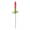 GloboStar® GloboStar® Artificial Garden RED GINGER BUD BRANCH 21393 Τεχνητό Διακοσμητικό Κόκκινο Κλαδί Ginger Y124cm