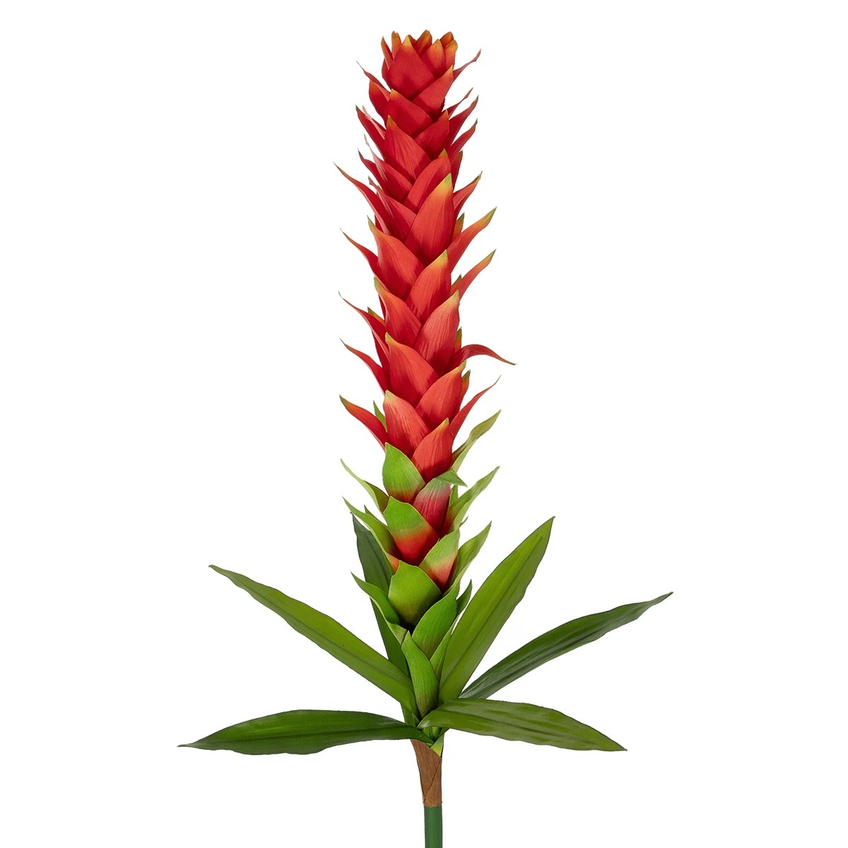 GloboStar® Artificial Garden RED GINGER BUD BRANCH 21393 Τεχνητό Διακοσμητικό Κόκκινο Κλαδί Ginger Y124cm 3 GloboStar® Artificial Garden RED GINGER BUD BRANCH 21393 Τεχνητό Διακοσμητικό Κόκκινο Κλαδί Ginger Y124cm - Image 2