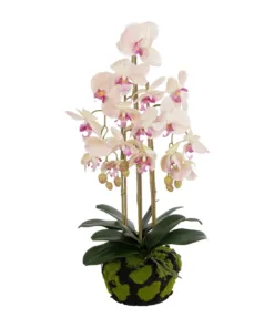 GloboStar® GloboStar® Artificial Garden BUTTERFLY ORCHID BONSAI 21400 Τεχνητό Διακοσμητικό Φυτό Ορχιδέα Μ34 x Π27 x Υ65cm