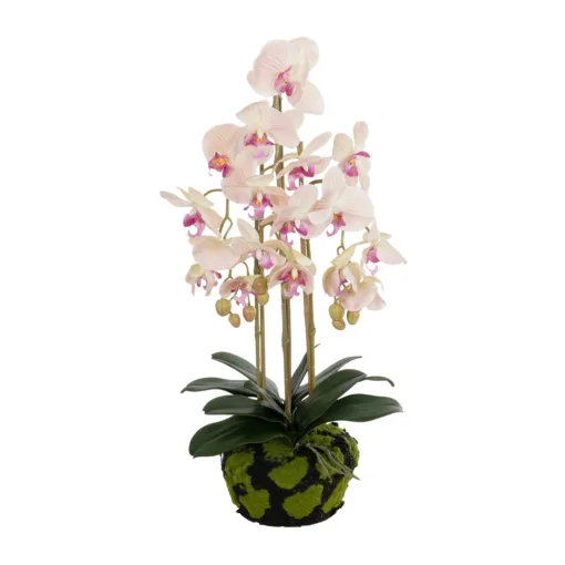 GloboStar® GloboStar® Artificial Garden BUTTERFLY ORCHID BONSAI 21400 Τεχνητό Διακοσμητικό Φυτό Ορχιδέα Μ34 x Π27 x Υ65cm