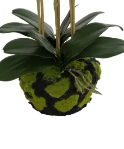 GloboStar® Artificial Garden BUTTERFLY ORCHID BONSAI 21400 Τεχνητό Διακοσμητικό Φυτό Ορχιδέα Μ34 x Π27 x Υ65cm 9 21400 4