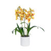 GloboStar® GloboStar® Artificial Garden YELLOW CHERRY CUMBIDIUM 21401 Διακοσμητικό Φυτό Κίτρινο Κυμβίδιο Υ60cm