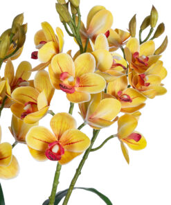 Alternative view of GloboStar® Artificial Garden YELLOW CHERRY CUMBIDIUM 21401 Διακοσμητικό Φυτό Κίτρινο Κυμβίδιο Υ60cm