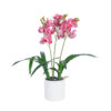 GloboStar® GloboStar® Artificial Garden PINK CHERRY CYMBIDIUM 21402 Διακοσμητικό Φυτό Φούξια Κυμβίδιο Υ60cm
