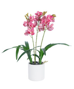 GloboStar® GloboStar® Artificial Garden PINK CHERRY CYMBIDIUM 21402 Διακοσμητικό Φυτό Φούξια Κυμβίδιο Υ60cm