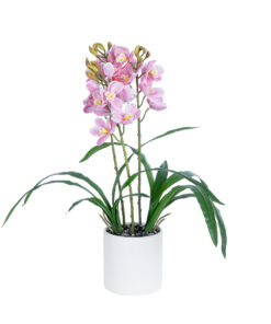 GloboStar® GloboStar® Artificial Garden PALE PINK CHERRY CYMBIDIUM 21403 Διακοσμητικό Φυτό Ροζ Κυμβίδιο Υ60cm