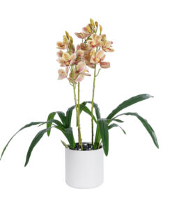 GloboStar® GloboStar® Artificial Garden CHAMPAGNE CHERRY CYMBIDIUM 21404 Διακοσμητικό Φυτό Σαμπανιζέ Κυμβίδιο Υ60cm