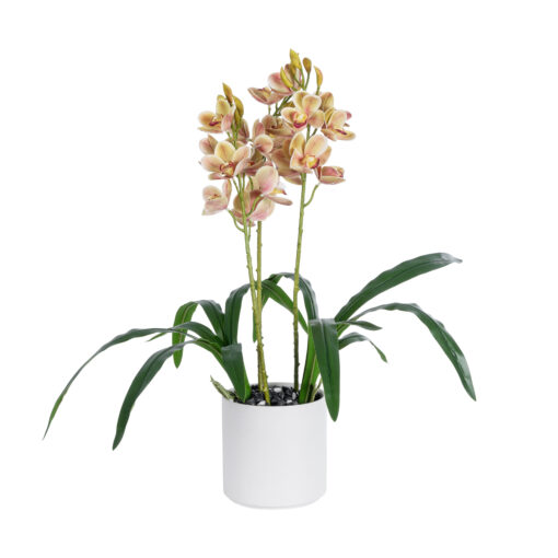 GloboStar® GloboStar® Artificial Garden CHAMPAGNE CHERRY CYMBIDIUM 21404 Διακοσμητικό Φυτό Σαμπανιζέ Κυμβίδιο Υ60cm