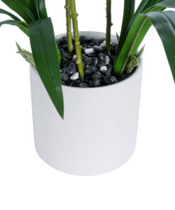 GloboStar® Artificial Garden CHAMPAGNE CHERRY CYMBIDIUM 21404 Διακοσμητικό Φυτό Σαμπανιζέ Κυμβίδιο Υ60cm 9 21404 4
