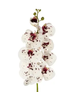 Alternative view of GloboStar® Artificial Garden WHITE ORCHID BRANCH 21406 Τεχνητό Διακοσμητικό Κλαδί Λευκή Ορχιδέα Y95cm