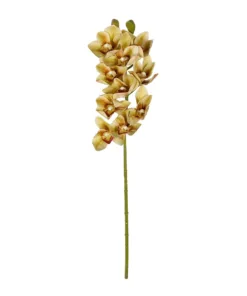 GloboStar® GloboStar® Artificial Garden CHAMPAGNE CYMBIDIUM BRANCH 21408 Τεχνητό Διακοσμητικό Κλαδί Σαμπανί Κυμβίδιο  Y75cm
