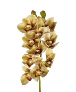 Alternative view of GloboStar® Artificial Garden CHAMPAGNE CYMBIDIUM BRANCH 21408 Τεχνητό Διακοσμητικό Κλαδί Σαμπανί Κυμβίδιο  Y75cm