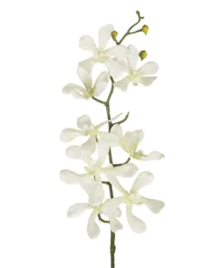 Alternative view of GloboStar® Artificial Garden WHITE VANDA ORCHID BRANCH 21409 Τεχνητό Διακοσμητικό Κλαδί Λευκή Ορχιδέα Y82cm