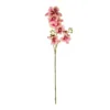 GloboStar® GloboStar® Artificial Garden CHAMPAGNE PINK ORCHID  BRANCH 21411 Τεχνητό Διακοσμητικό Κλαδί Σαμπανί Ορχιδέα Y70cm