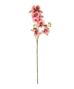 GloboStar® GloboStar® Artificial Garden CHAMPAGNE PINK ORCHID  BRANCH 21411 Τεχνητό Διακοσμητικό Κλαδί Σαμπανί Ορχιδέα Y70cm