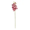 GloboStar® GloboStar® Artificial Garden  PINK ORCHID  BRANCH 21412 Τεχνητό Διακοσμητικό Κλαδί Ροζ Ορχιδέα Y70cm