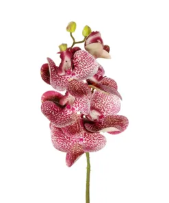 Alternative view of GloboStar® Artificial Garden  PINK ORCHID  BRANCH 21412 Τεχνητό Διακοσμητικό Κλαδί Ροζ Ορχιδέα Y70cm